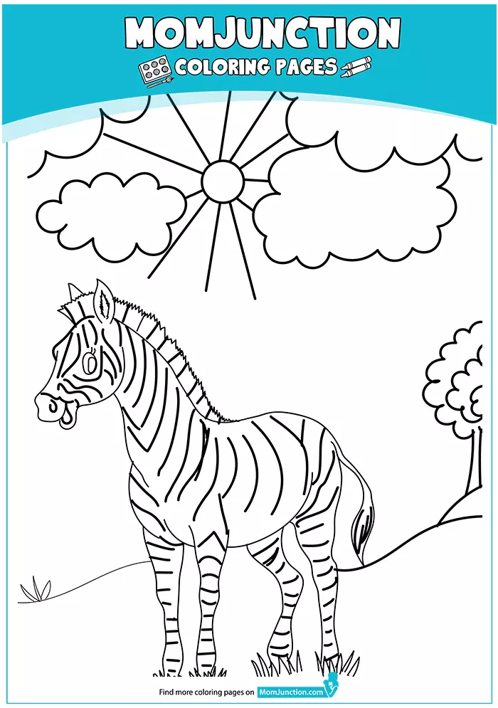 A-animals-zebra-animal-printable-coloring-16