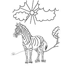 top 20 free printable zebra coloring pages online