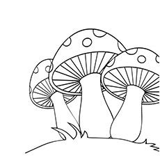 A mushroom coloring page