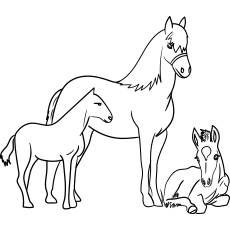 Baby horse coloring page