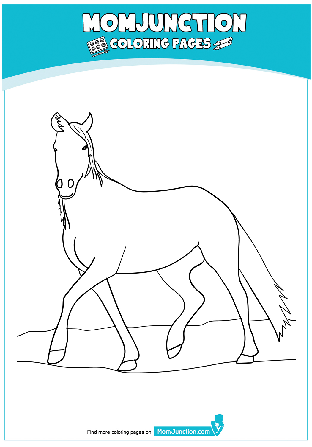Blue-Roan-Arabian-Horse-17