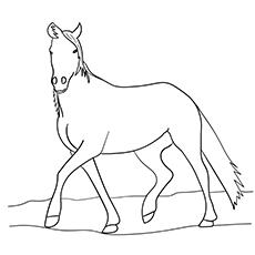 Top 55 Free Printable Horse Coloring Pages Online