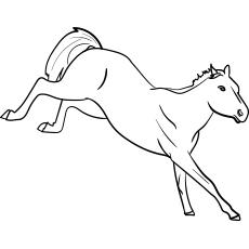 Bucking horse coloring page