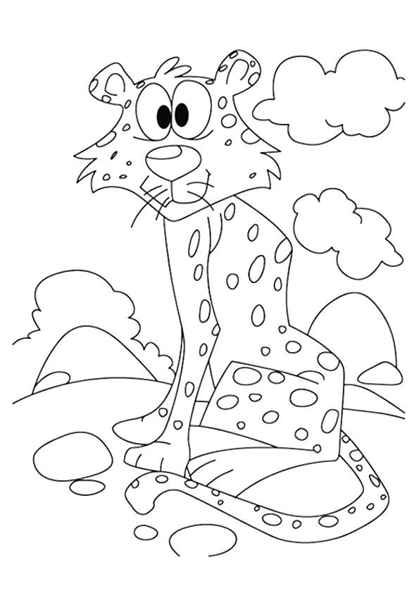 Cheetah-infront-of-cloud