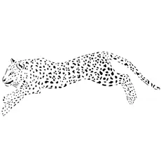 Jumping cheetah coloring page