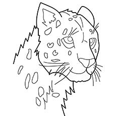 Cheetah looking forward coloring page