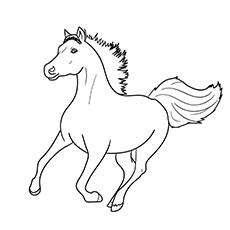 realistic arabian horse coloring pages