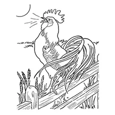 Dawn rooster coloring page