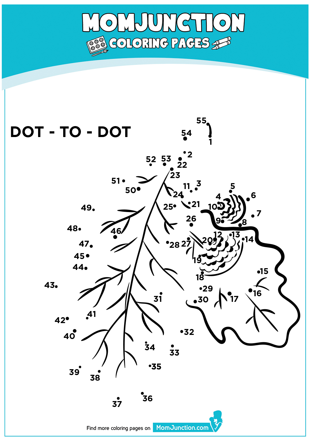 Dot-to-dot-Oak
