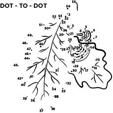 Dot-to-dot-Oak