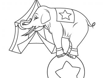20 Cute Elephant Coloring Pages Your Toddler Will Love To Color
