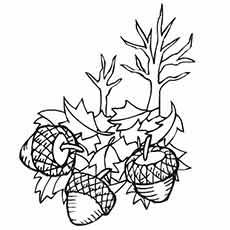 Acorns and Fall leaves coloring page