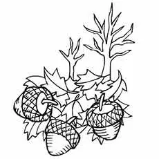 Acorns and Fall leaves coloring page