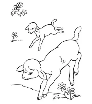 Top 10 Farm Coloring Pages Your Toddler Will Love To Color