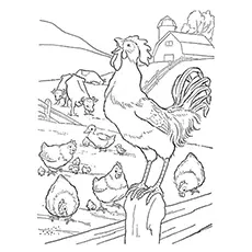 Farm house rooster coloring page
