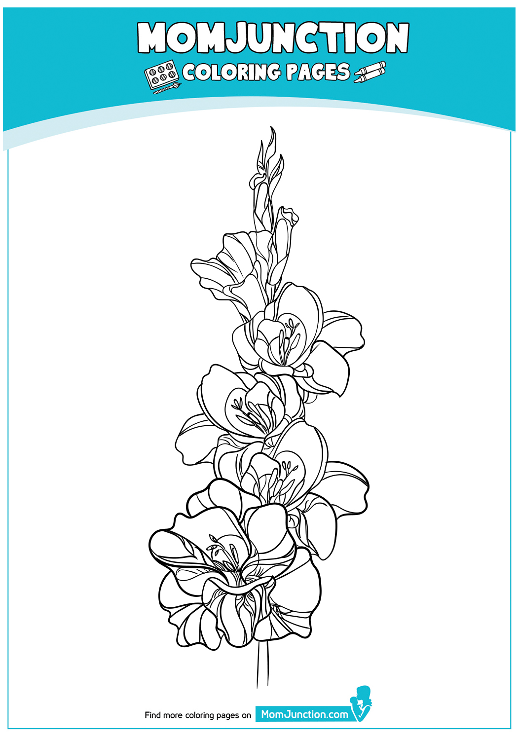 Gladiolus-Flower