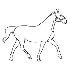 Heavy warmblood mare horse coloring page