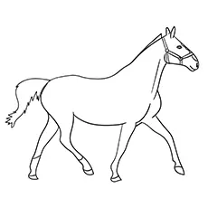 Heavy warmblood mare horse coloring page