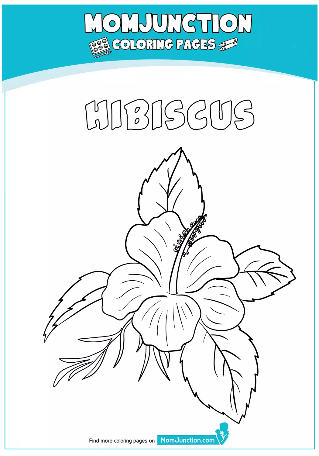 Hibiscus-Flower-18