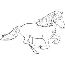 pinto horse coloring pages