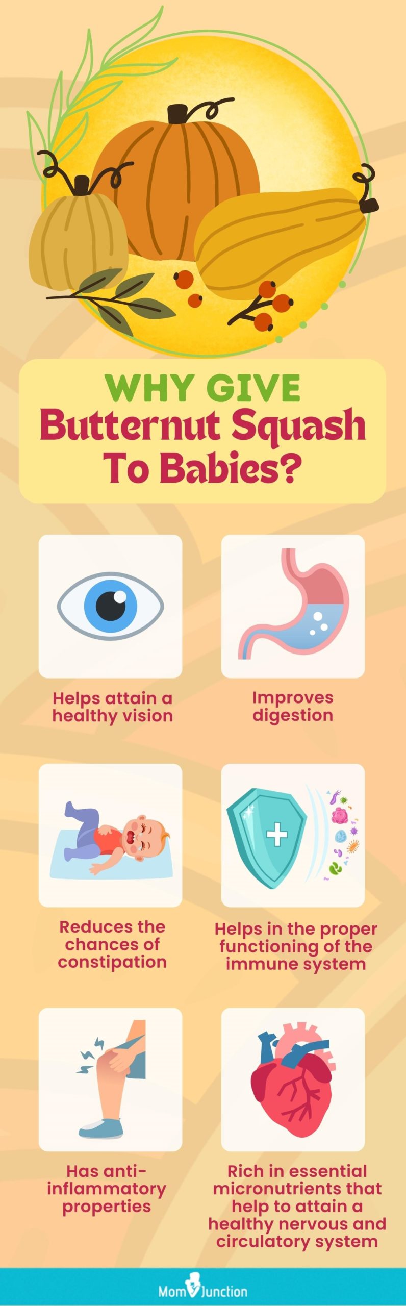 why give butternut squash to babies [infographic]