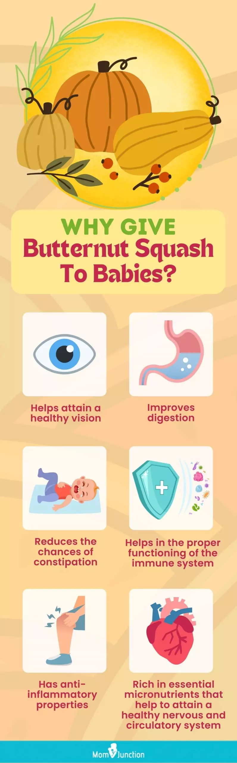 why give butternut squash to babies (infographic)