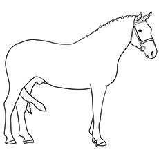 Irish Draught horse coloring page