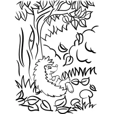 Leave Falling from tree Fall coloring page