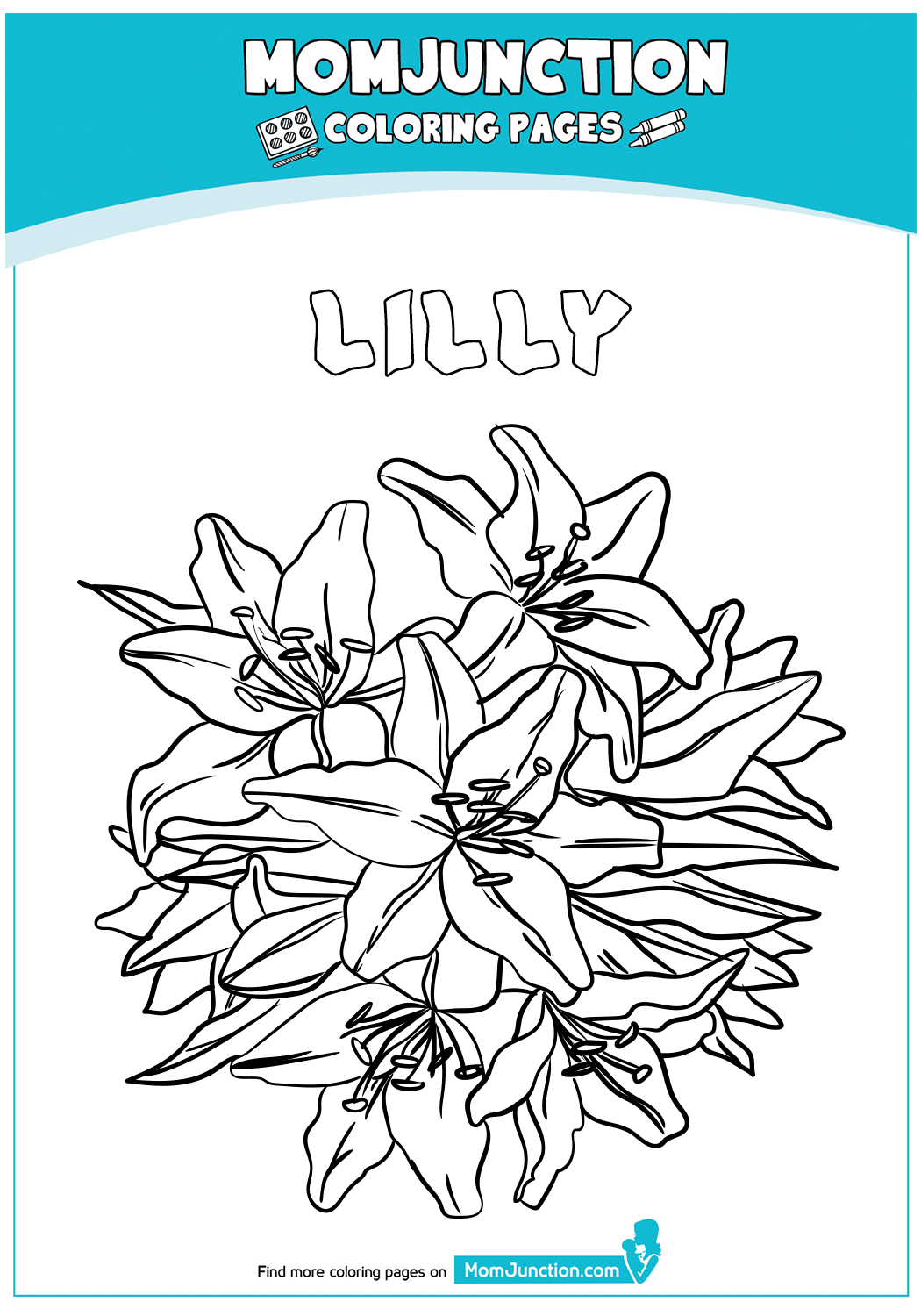 Lilly-18