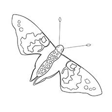 painted lady butterfly coloring page