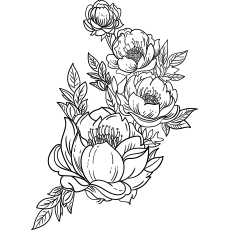 Peony flowers coloring page