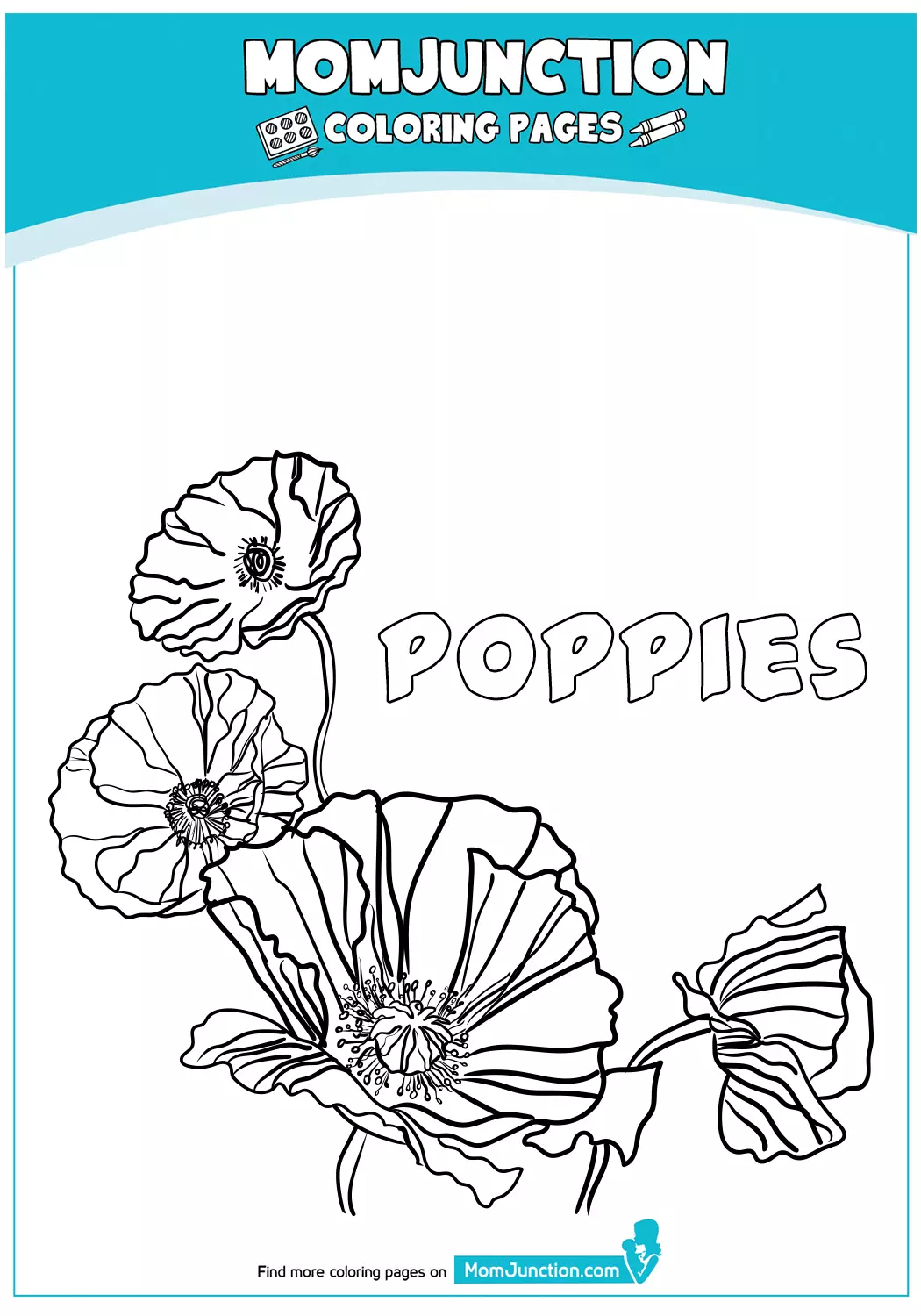 Poppies-18