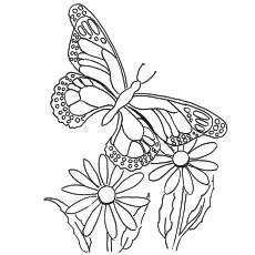 painted lady butterfly coloring page