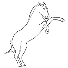 Rearing Arabian horse coloring page