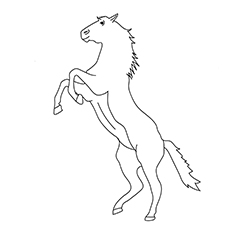 Rearing horse coloring page