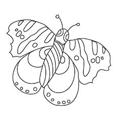 Red Admiral Butterfly coloring page