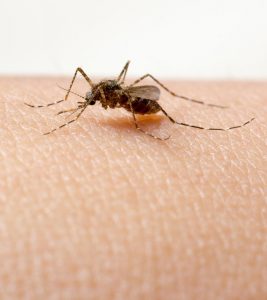 13 Symptoms of Dengue Fever in Babies, Causes & Treatment