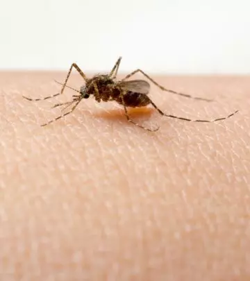 Serious Symptoms Of Dengue Fever In Infants