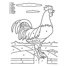 A simpe rooster coloring page