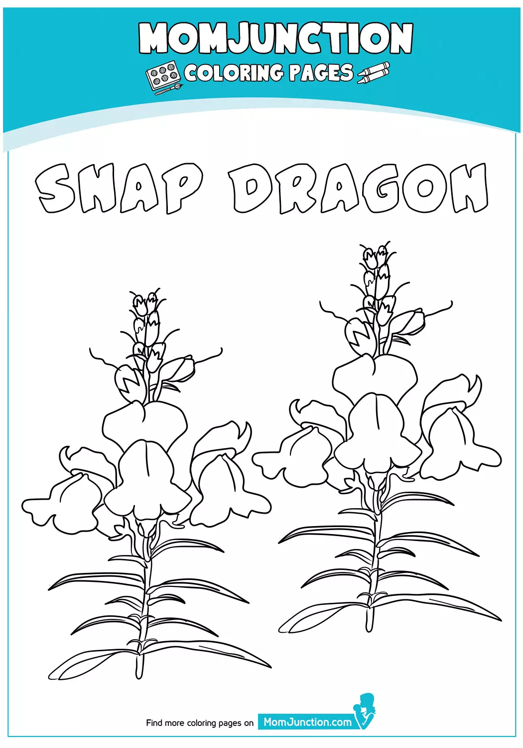 Snap-Dragon-18