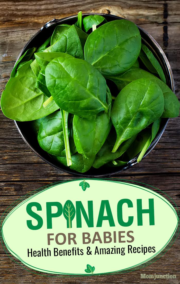 Spinach For Babies Health Benefits And Amazing Recipes