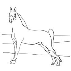 realistic arabian horse coloring pages