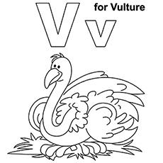 Vulture, letter V coloring pages