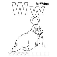 W For Walrus, Letter 