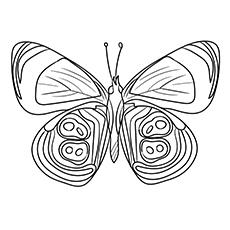 Species 88 Butterfly coloring page