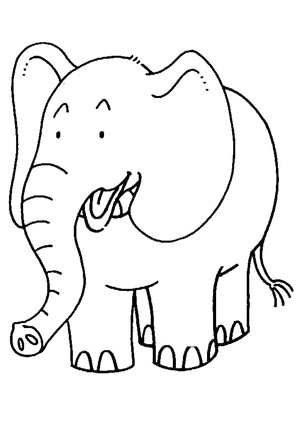 The-African-Elephantt