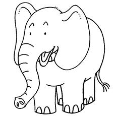 African elephant coloring page