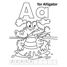 The-Alligator