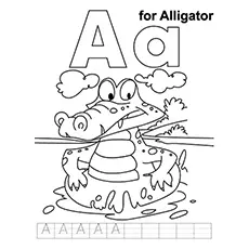 A for alligator crocodile coloring page
