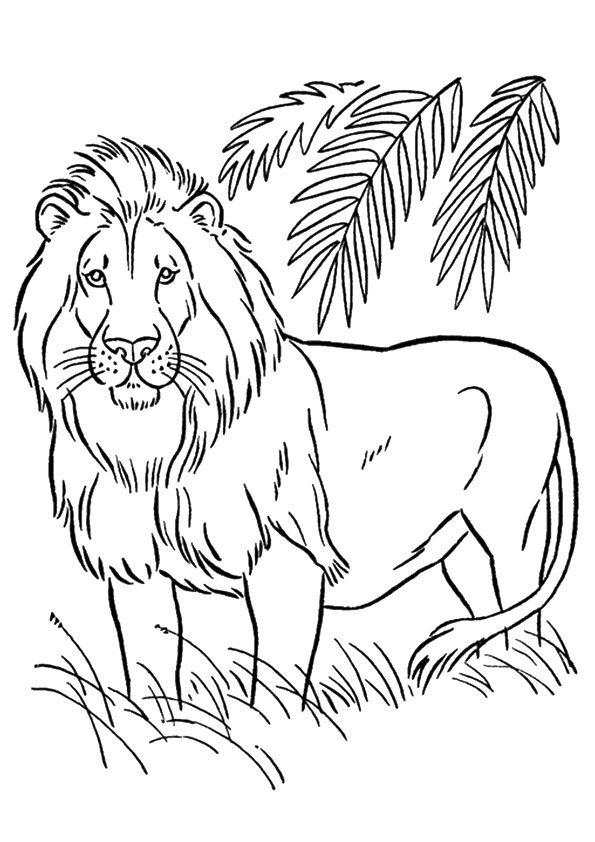 The-American-Lion